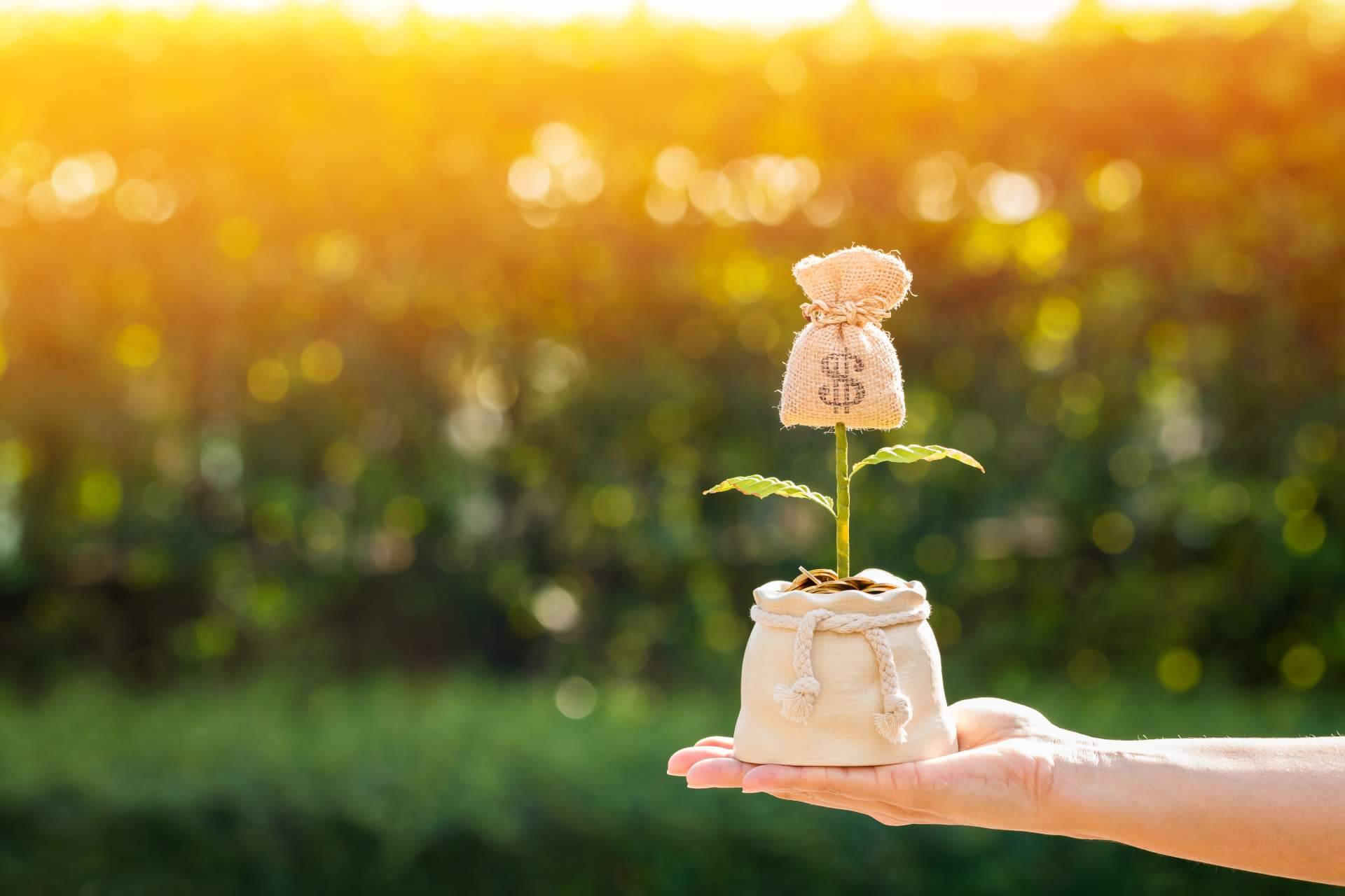 Rescata tu AFORE explains the pension reform in Mexico and how to recover AFORE