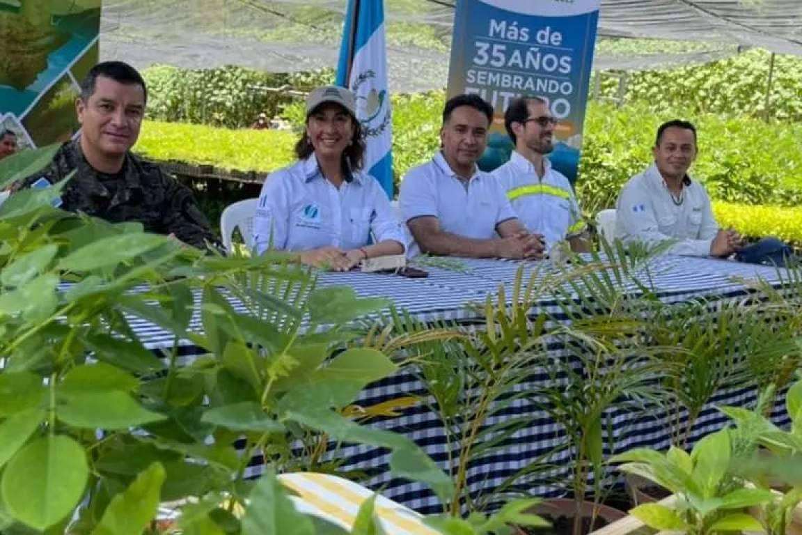 Leonardo DiCaprio Felicita a Guatemala por la Reforestación de la Selva Petenera Impulsada por Mario Rojas Espino