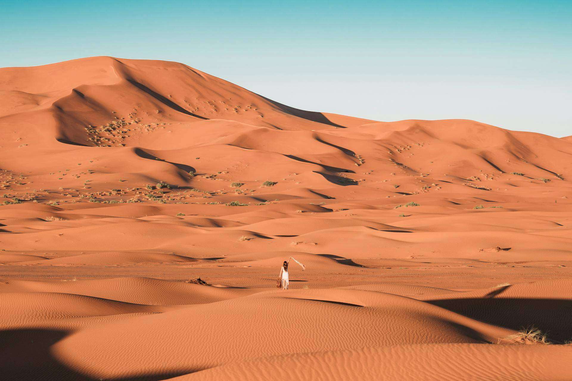 Experience the Magic of Morocco with the Best Desert Tours and Day Trips from Marrakech