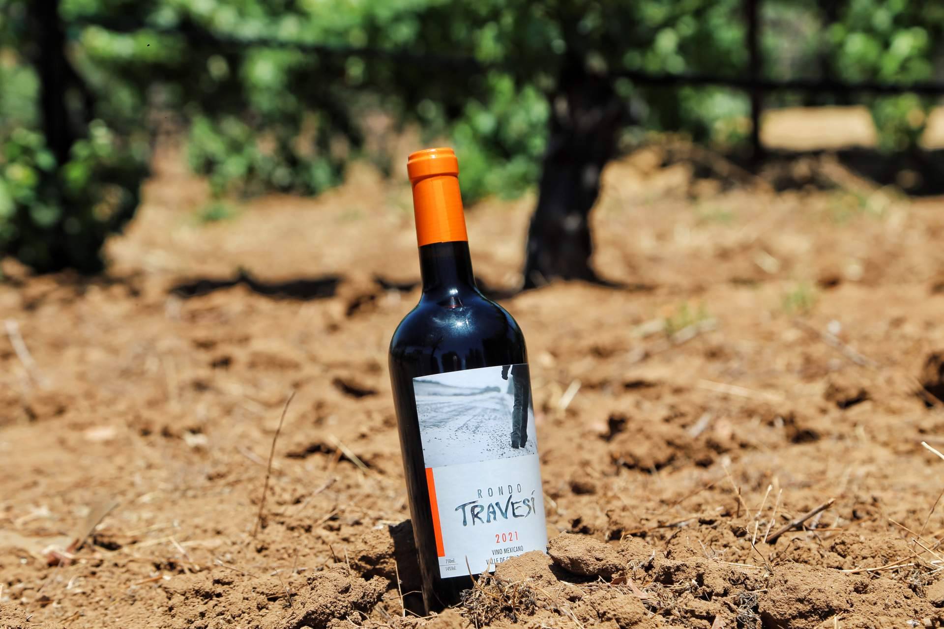 Rondo del Valle, descubriendo la excelencia de vinos selectos para cada ocasión