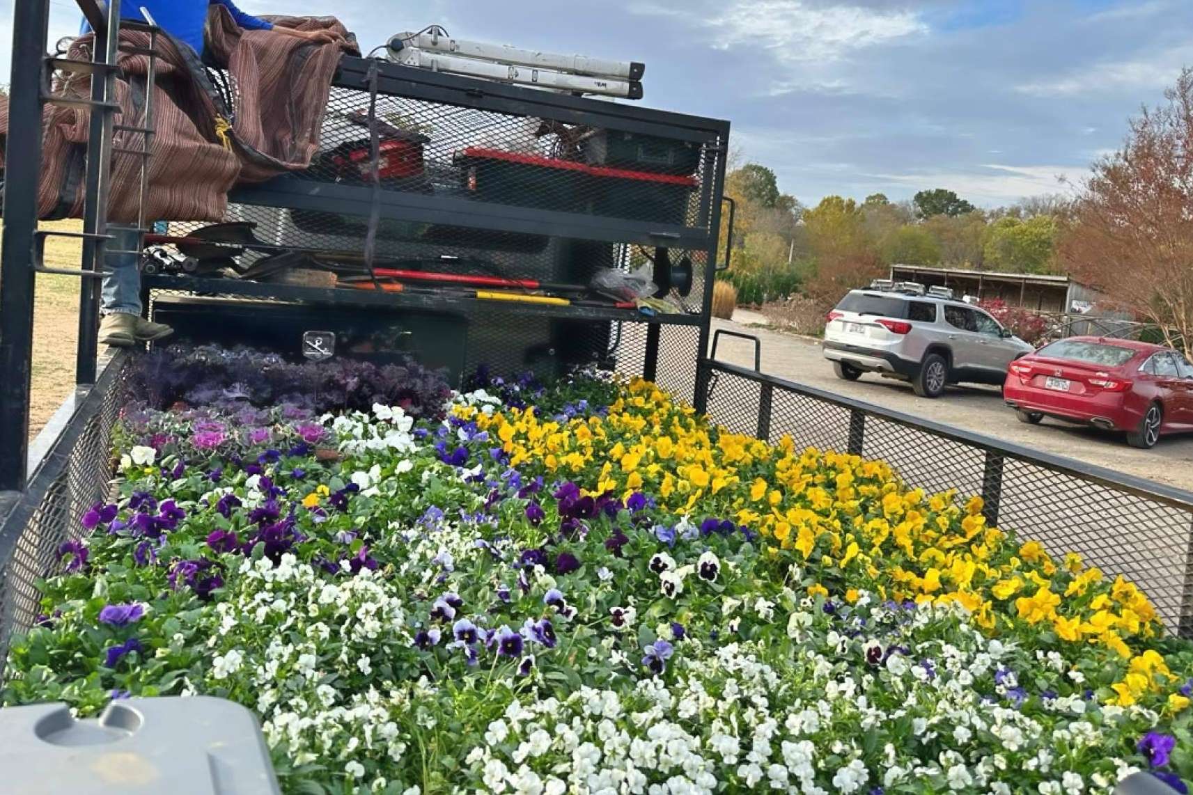 Figueroa Landscape, la solución de la jardinería