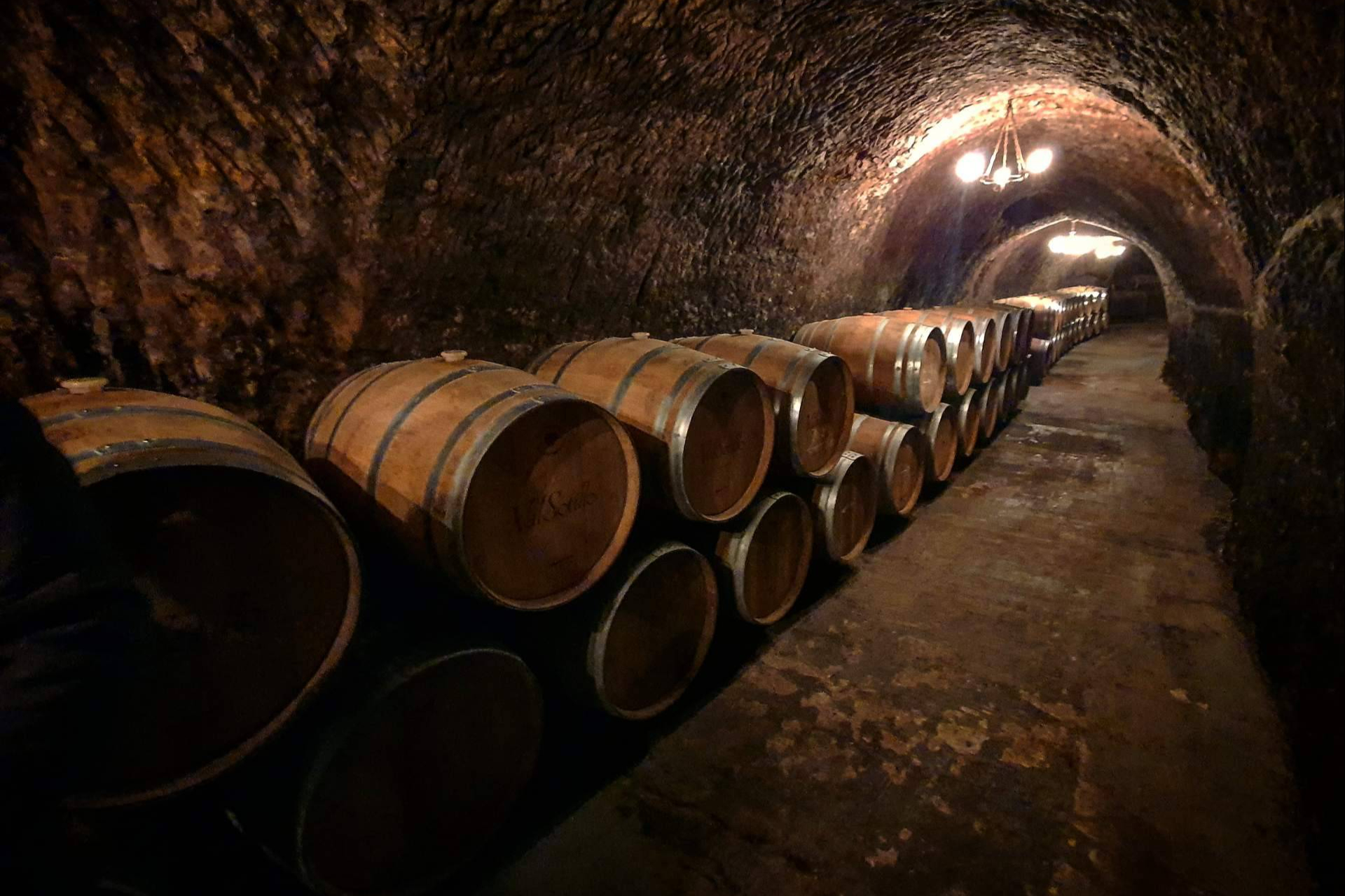 Is oak in wine as essential as salt on a steak?