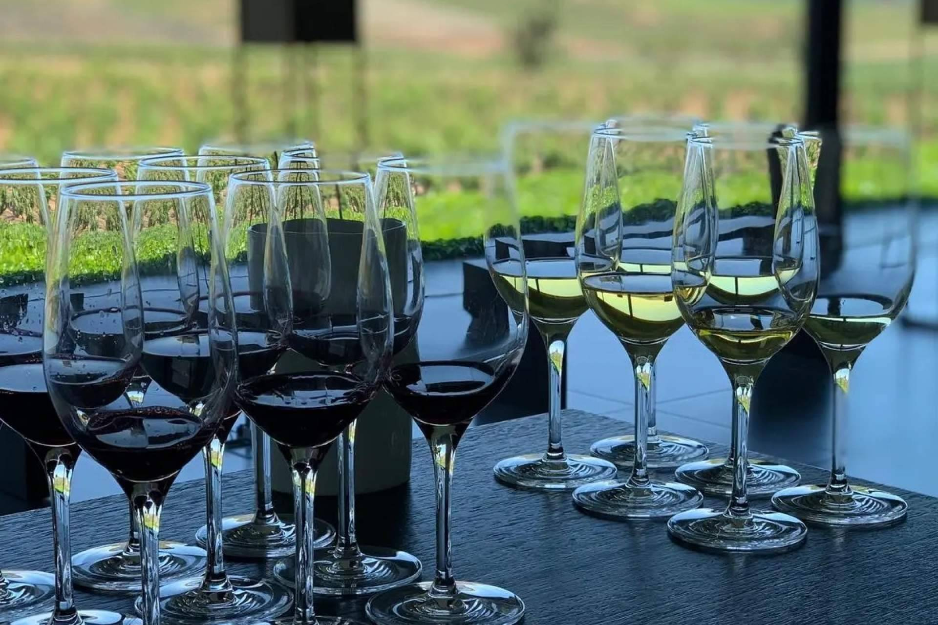 The difference between Ribera del Duero and Rioja, explained through their wines and landscapes