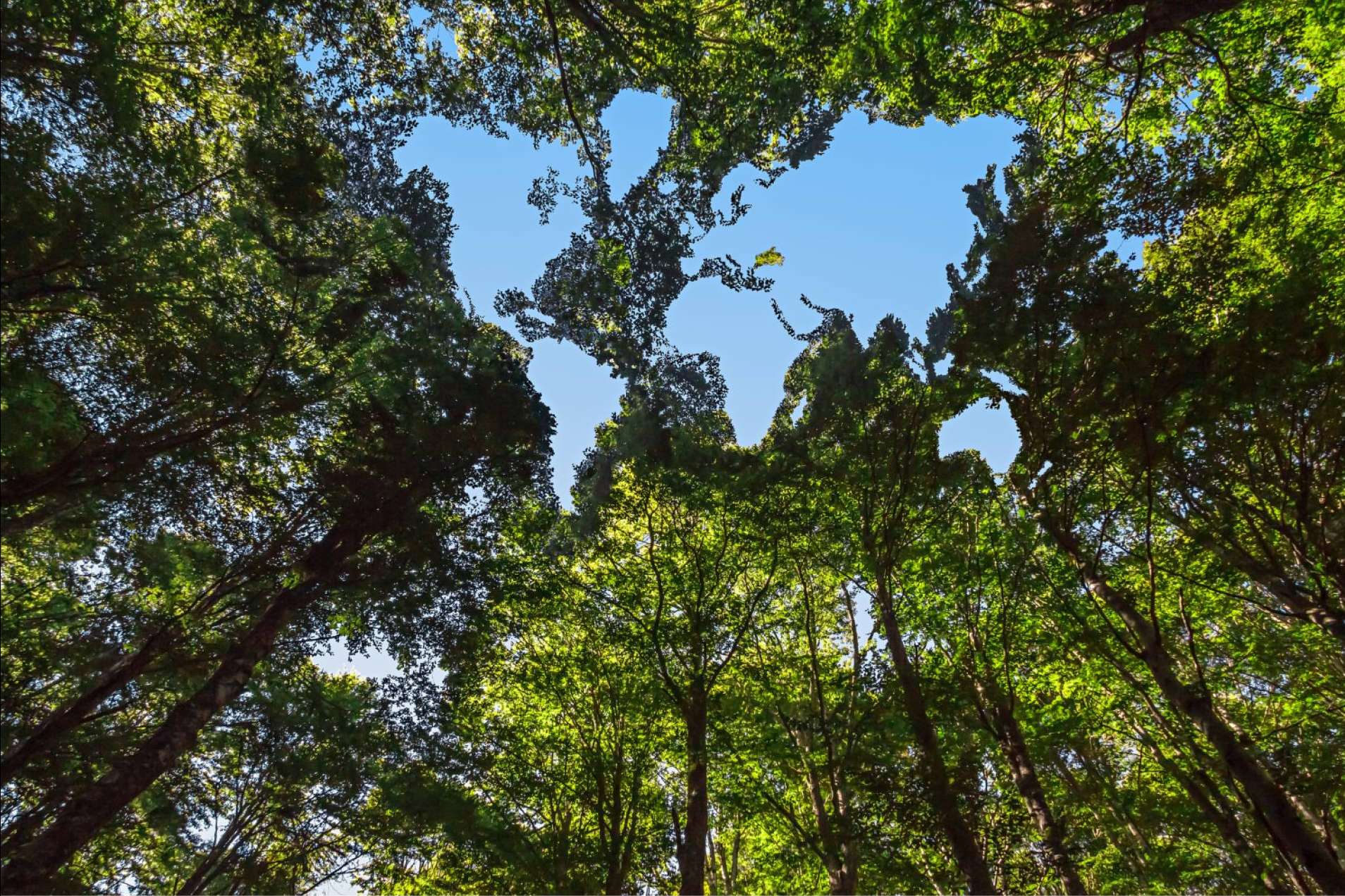 Knowee digital cards contribution to continuous improvement in corporate environmental management system