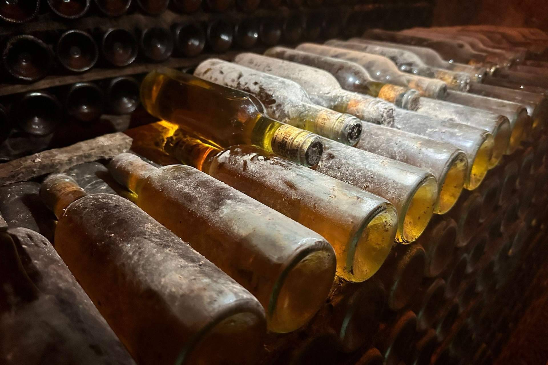 At what temperature should wine be stored in a cellar?