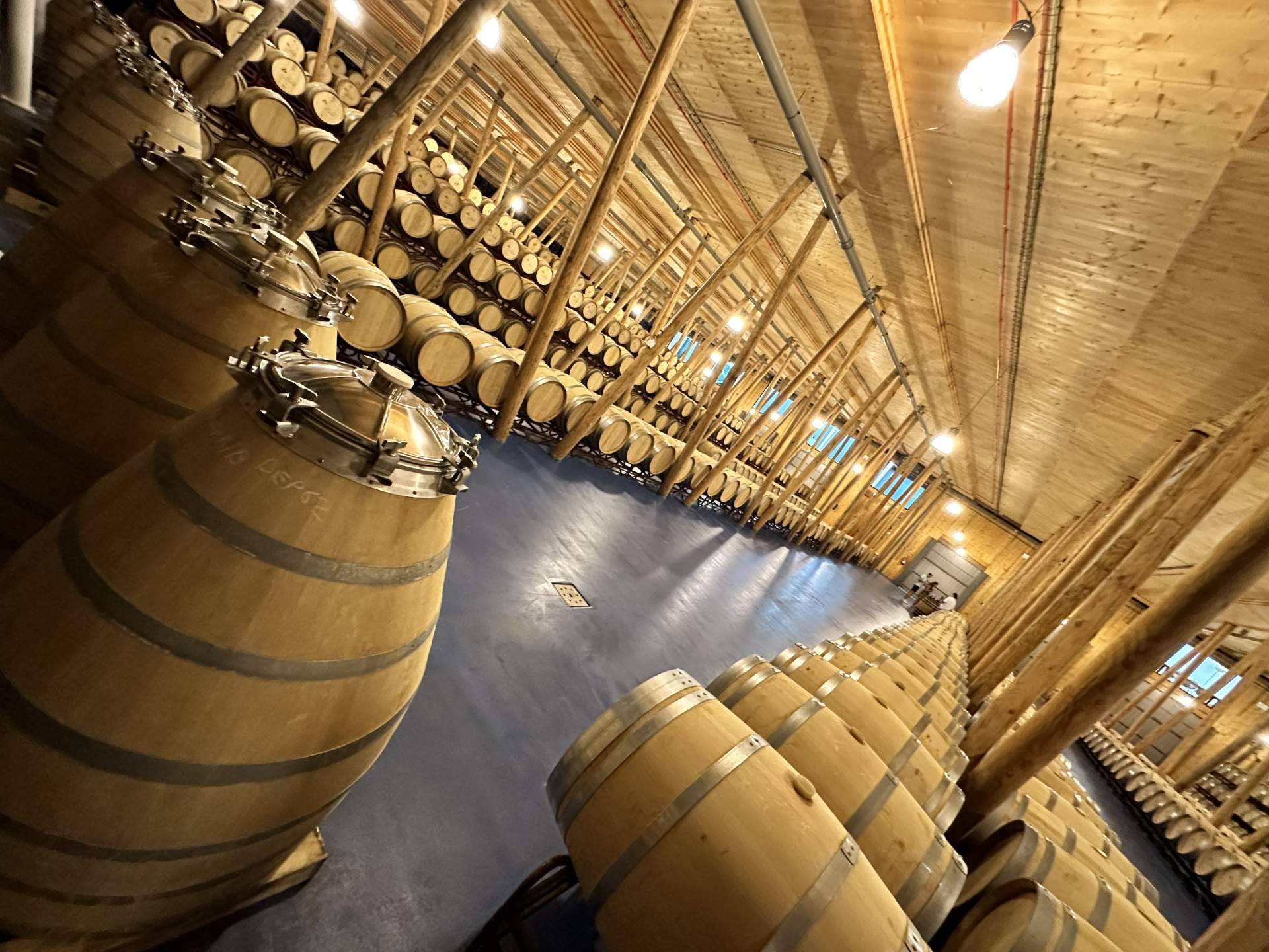 French and American oak barrels, how wood influences the character of wine