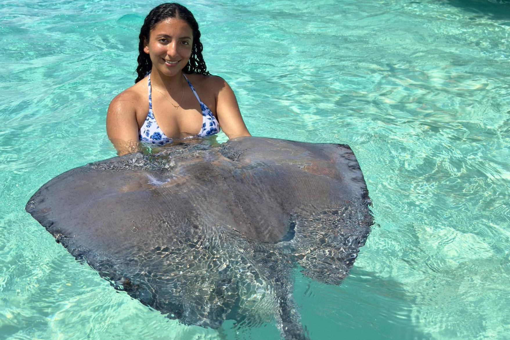 Cayman Ocean Adventures consolidates its position among the leading personalized excursions in the Cayman Islands